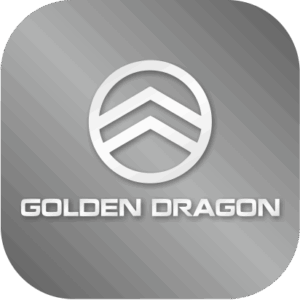Запчасти для автобусов GOLDEN DRAGON